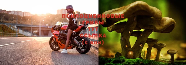 мяу мяу мука Бугульма