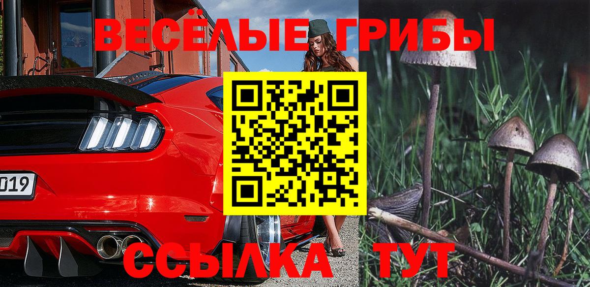 Галлюциногенные грибы Cubensis  Псилоцибиновые грибы мухоморы  Радужный  Вход с VPN 