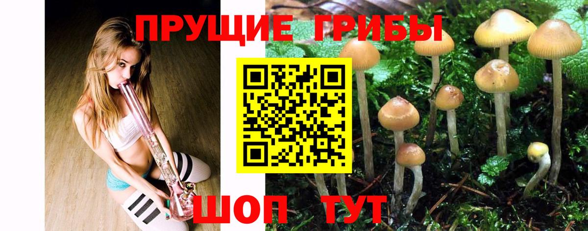 Галлюциногенные грибы Cubensis Радужный